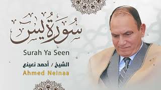 سورة يس | الشيخ الطبيب أحمد نعينع