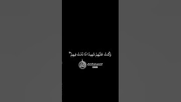 ماهر المعيقلي - سورة المائدة ( برواية حفص عن عاصم ) الأية 117