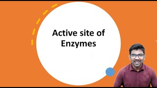 Active Site of Enzymes