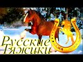 РУССКИЕ ПОРОДЫ ЛОШАДЕЙ. ПОРОДЫ ЛОШАДЕЙ В РОССИИ. РУССКИЕ ТЯЖЕЛОВОЗЫ.