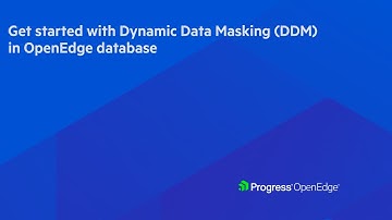 Get started with Dynamic Data Masking (DDM) in OpenEdge database