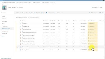 Video 22 Microsoft SharePoint Attention Views