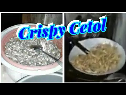 Cara Memasak Ikan Gatul