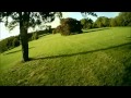 Shalden | ZMR 250 | DYS 2300kv | CC3D | FPV 5.8Ghz | 3S |