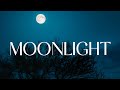 Ali Gatie Moonlight Lyrics Ali Gatie Moonlight Lyrics