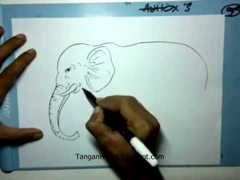 video belajar  menggambar  gajah  YouTube