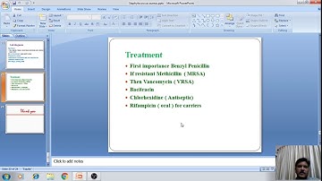 ckv Staphylococcus aureus part3