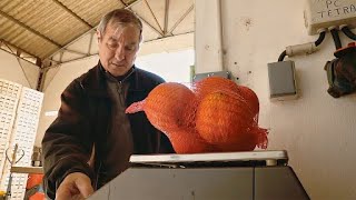 Corsica, the land of oranges by Food Story 2,545 views 2 weeks ago 14 minutes, 57 seconds