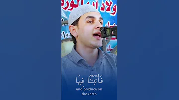 قارئ يحب ر بقلبه ويأسر القلوب بصوته الشيخ محمد جمال شهاب 