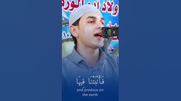 قارئ يحبّر بقلبه ويأسر القلوب بصوته | الشيخ محمد جمال شهاب