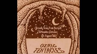 Ozric Tentacles/Ozralators - Torpedo Town Free Festival, Bramdean Common, 8th August 1987
