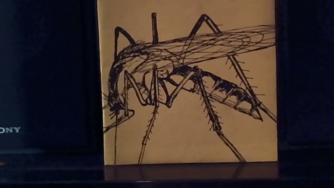 Dionalisa (details in the description)