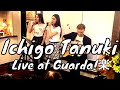 Ichigo Tanuki@Guarda!楽 (Live)