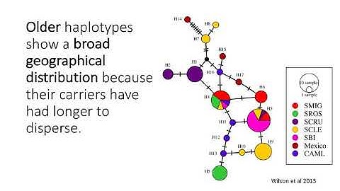 BIO178 Week 4 Phylogeography Networks