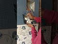 House wiring board connection // earthing wire kya Kam hai #trending