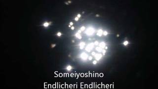 ソメイヨシノ(Someiyoshino) ENDLICHERI ENDLICHERI(Tsuyoshi Domoto) cover