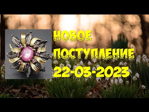Новое поступление 22-03-2023