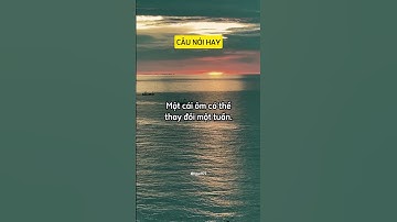 Những Câu Nói Đáng Nhớ #23 @tpv977  #shorts  #subscribe