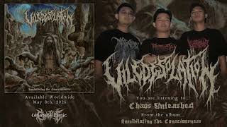 VILE DESOLATION 'Chaos Unleashed' (Single / 2026)