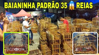 Feira do cordeiro baianinha 35 reias  imperdível tudo barato e acessórios e só aqui