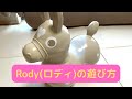 Rody(ロディ)の遊び方