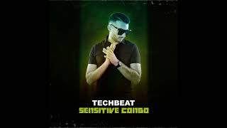Techbeat - Sensitive Congo Marc Raum