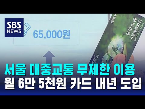 월 6만 5천원에 서울 대중교통 무제한 이용…내년 도입 / SBS