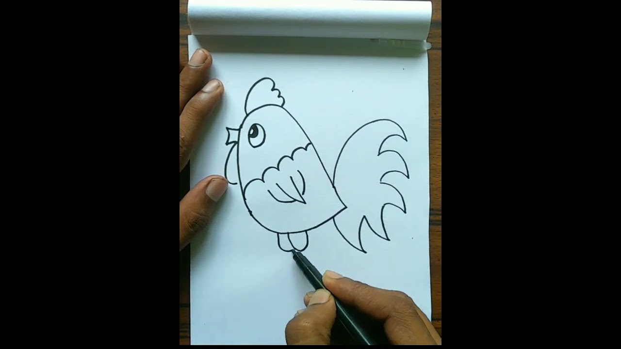 Cute hen Drawing /how to chicken
