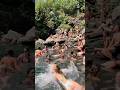 Jumping Into The Unknown Shorts Travel Waterfall Jumping 