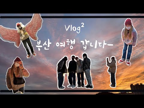 비둘기한테서 호떡 지키기 😎 | 깡통 시장, 부산 맛집 가기, 해운대