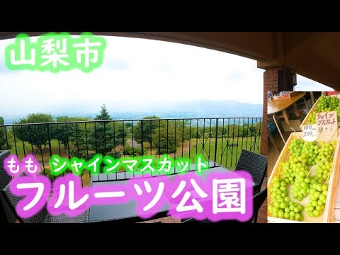 【シャインマスカット】山梨市フルーツ公園へ！