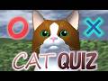 Cat quiz: Do you remember where the cat was?【True or Fake? quiz】【Sakura School Simulator】