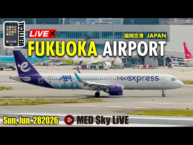 📱Shorts (Vertical) 縦 LiVE Fukuoka Airport Plane Spotting✈️6/28