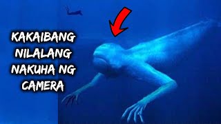 5 Misteryosong Malahiganteng Nilalang Na Nahuli Sa Camera   Whats Viral Today