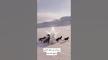 #قرآن_كريم #اكسبلور #تلاوة_خاشعة #المصحف #قرآن