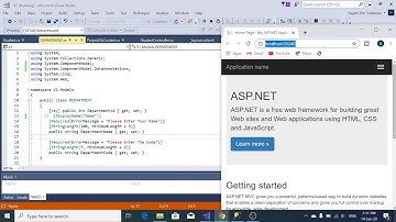How to Give Display Name in Entity Framework