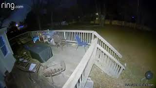 Fairy Caught On Ring Camera | Watch The First Five Seconds