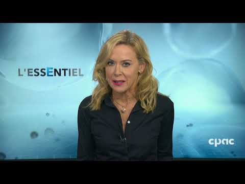L'Essentiel : Vague