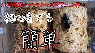 【簡単！】オオクワガタ産卵セット作り！