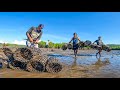 From High Tide To Low Tide - A Trap To Mangroves | Catch & Sell