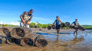 From High Tide To Low Tide - A Trap To Mangroves | Catch & Sell
