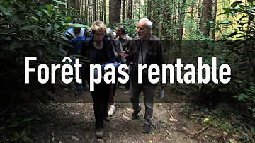 Comment savoir si une forêt est privée ?