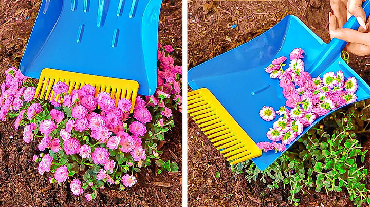Surprising Gardening Hacks To Make Your Home Plants Grow