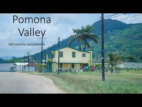 Pomona Valley by Dell and the Sensations