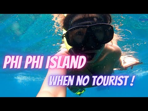 phi phi island when no tourist scuba diving in thailand phuket   diving at koh racha phuket do you know what is this 