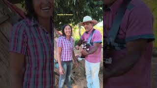 #música #música viola #música caipira #música raiz #modão sertaneja #viola #raiz #música sertaneja