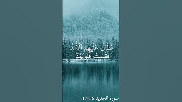 القارئ طارق محمد | تلاوة خاشعة
