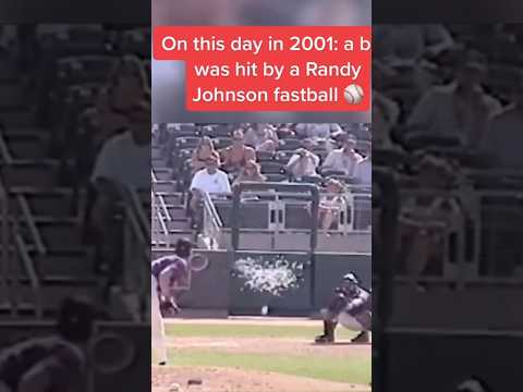 Bird hit by