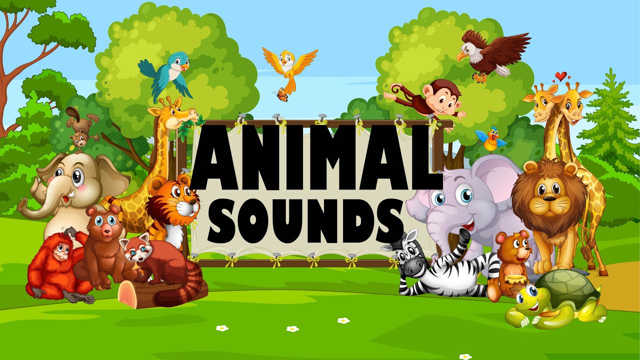 Animal sounds, video compilation! farm animals, pet animals and wild ...