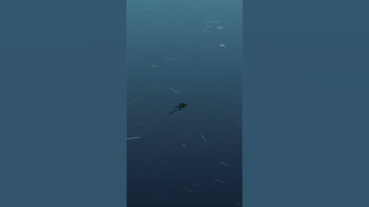 THALASSOPHOBIA short VIDEO 😱🌊⚠️